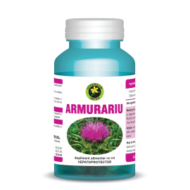 Capsule Armurariu