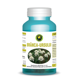 Branca ursului capsule