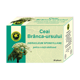Ceai Branca Ursului doze Ceai Branca Ursului doze