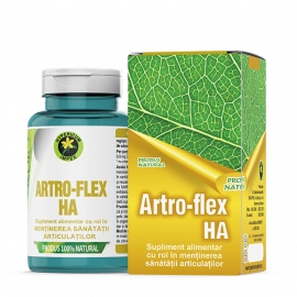 Capsule Artro-Flex HA