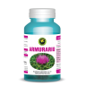 Capsule Armurariu Capsule Armurariu