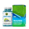 Capsule Momyrtidiab Capsule Momyrtidiab