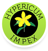 Hypericum